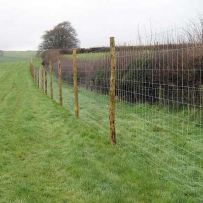 Cheap Best Quality Kraal Network Cattle Fence Panels For Sale